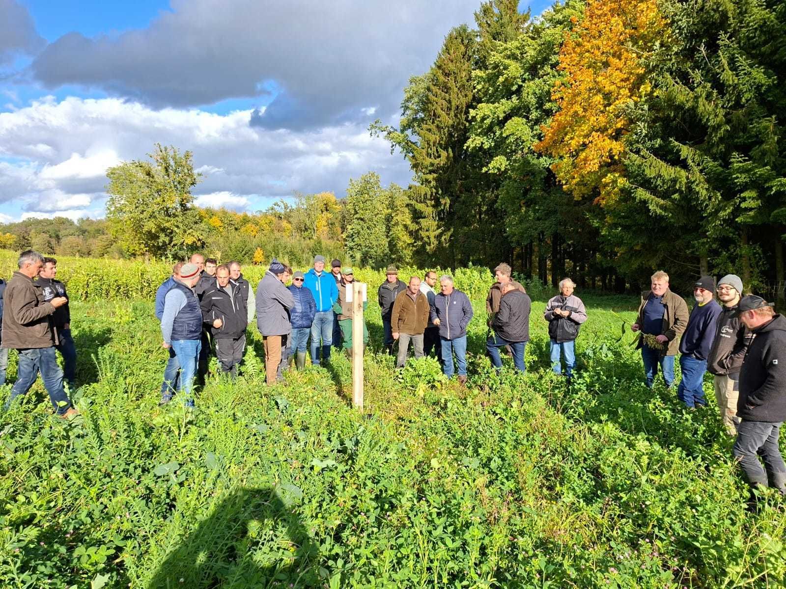 Teilnehmer bei Arbeitskreisfeldbegehung in Steinhaus, Betrieb Dornauer. Themen waren: - Begrünungsversuch: Drohnensaat vs. herkömmlichen Anbau, verschiedene Mischungen im Vergleich; - Aktuelles zu Grundwasser 2030; - Herbstdüngung; - PFS-Dokumentation Neu;  © BWSB