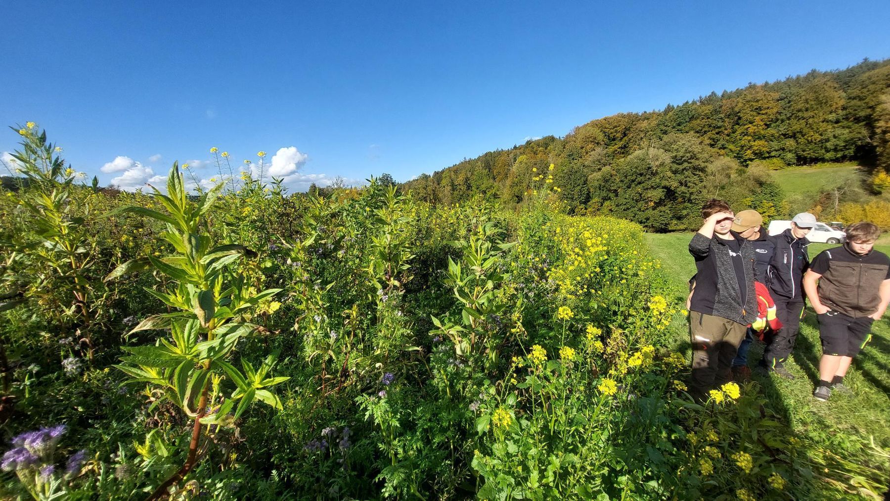 © BWSB/Wallner