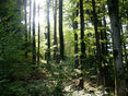 ARGE 2008_LKOÖ_klein © Landwirtschaftskammer OÖ
