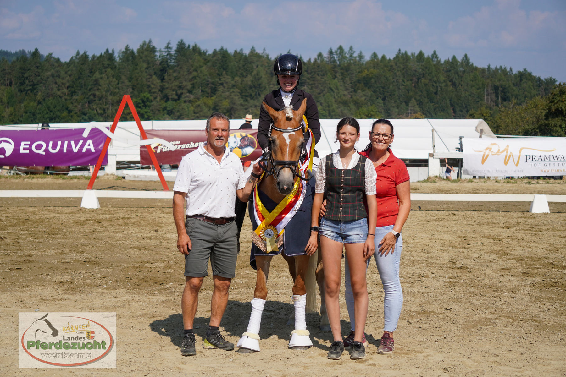 RP_Haflinger_2025-148.jpg © Landespferdezuchtverband