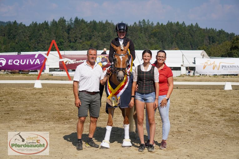 RP_Haflinger_2025-148.jpg © Landespferdezuchtverband
