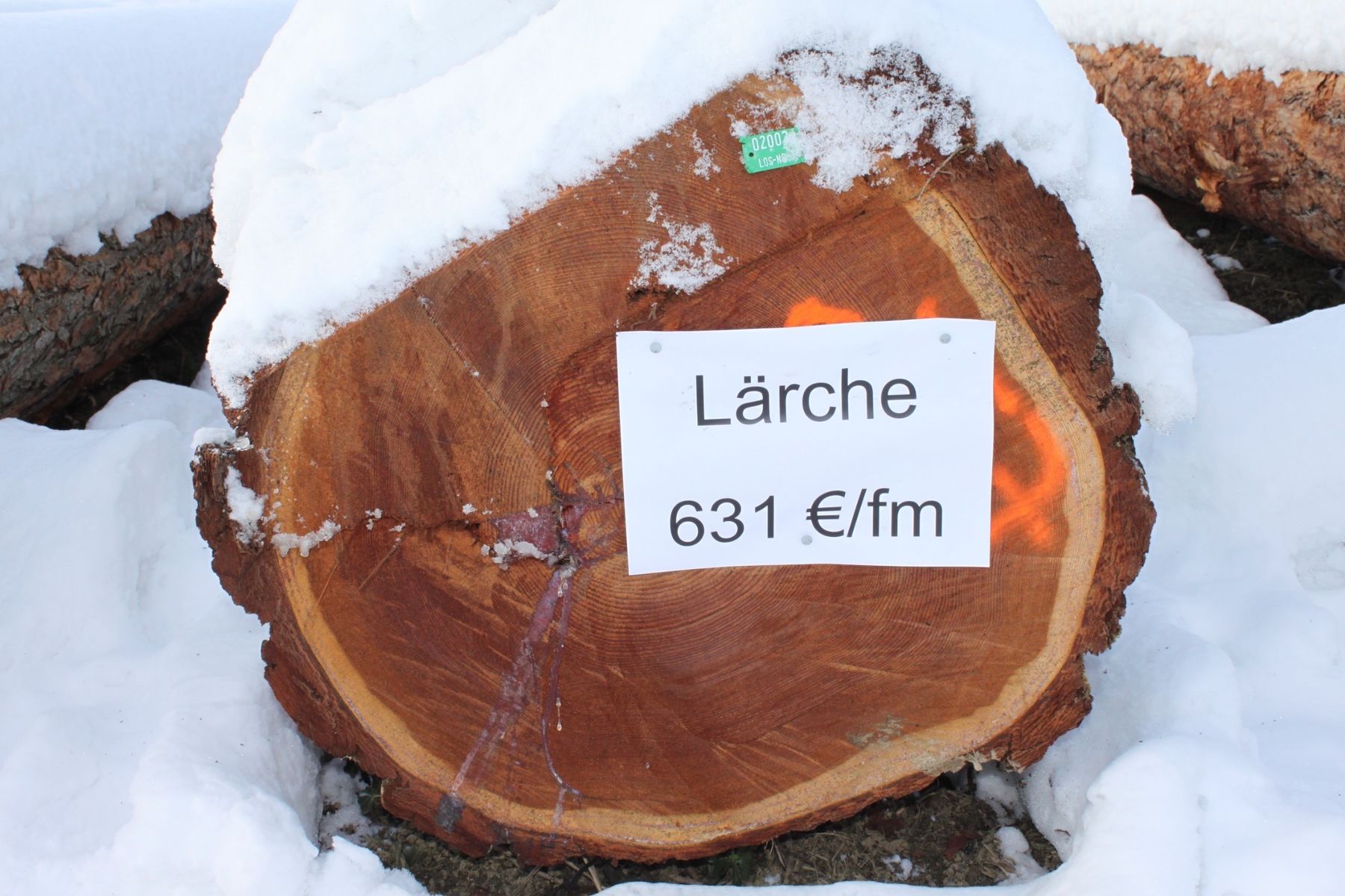 © Waldverband