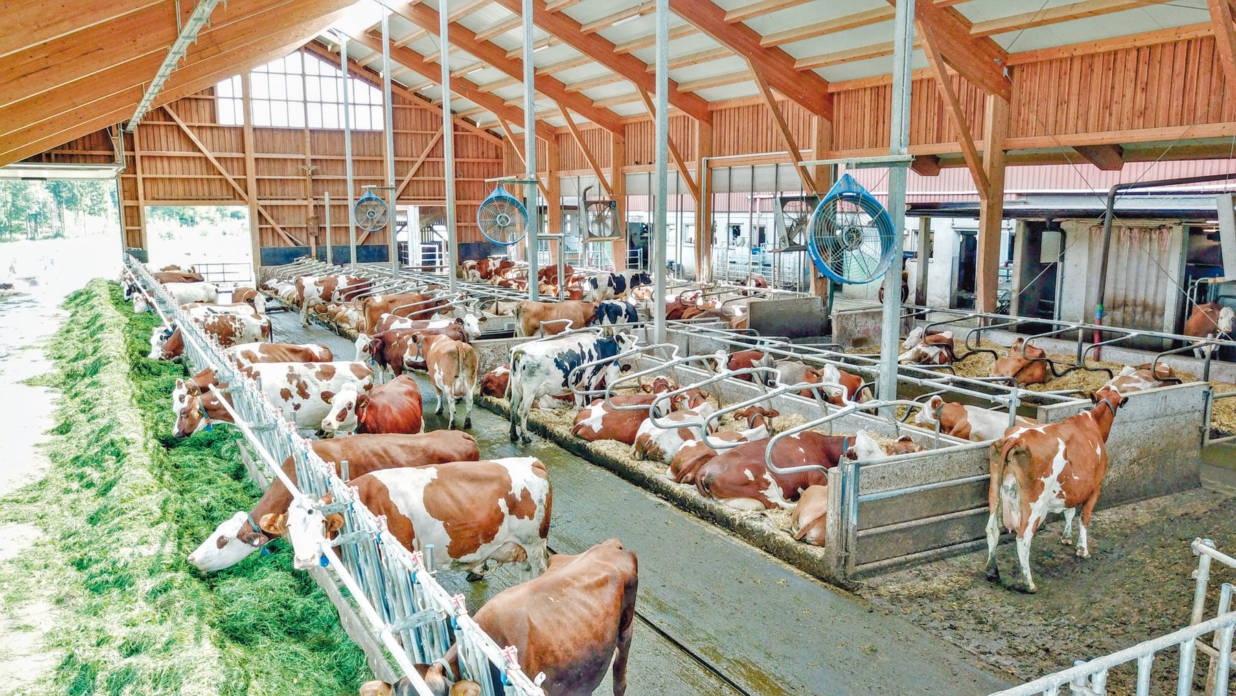 Plakner in Schleedorf .jpg © Hatheier