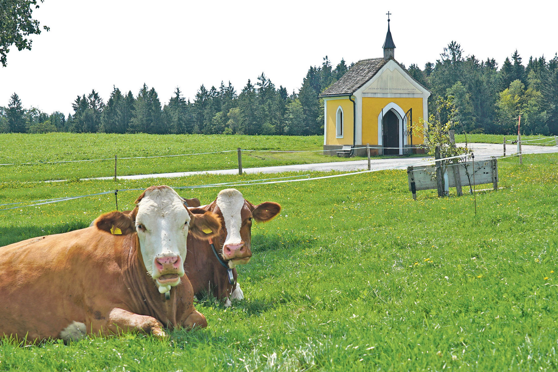 Plakner in Schleedorf .jpg © Hatheier