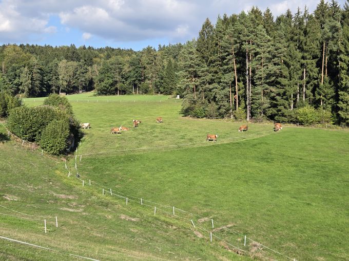 2026_45_45_Weide_20260923.jpg © Leo Weichselbaumer, LK OÖ