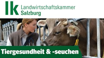 Tiergesundheit Banner © AdobeStock/goodluz