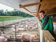 Schweinebauer © LK Steiermark/Danner
