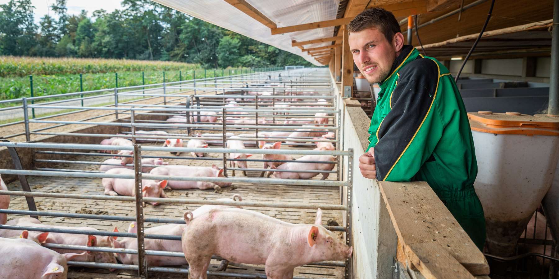 Schweinebauer © LK Steiermark/Danner