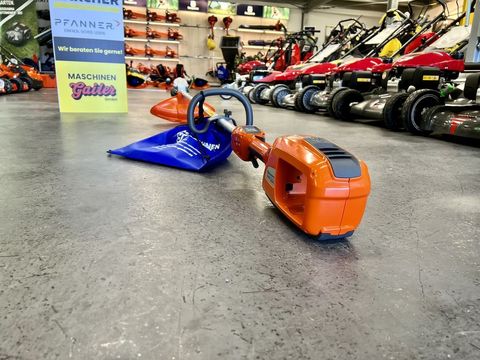 [3244-3661807-3.jpg]