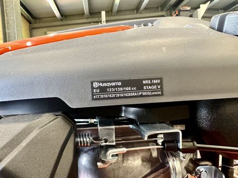 [3244-3667289-5.jpg]