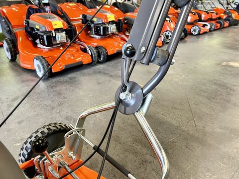 [3244-3667289-6.jpg]