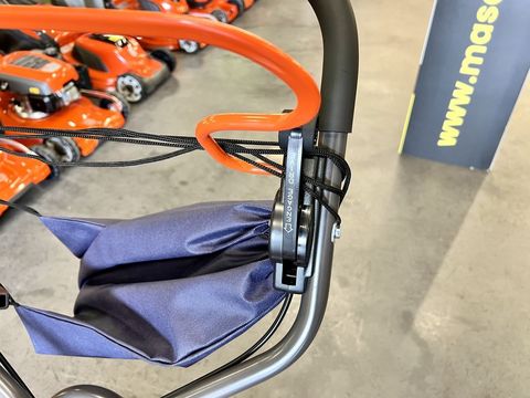 [3244-3667289-7.jpg]