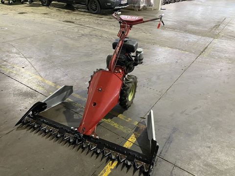 [3244-4281262-9.jpg]