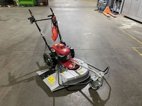 [3244-4313729-9.jpg]