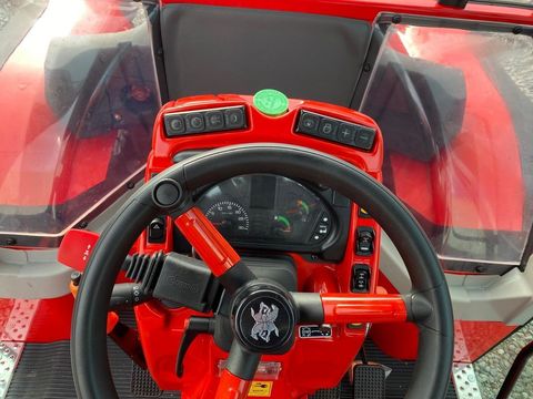 [3244-4788195-14.jpg]