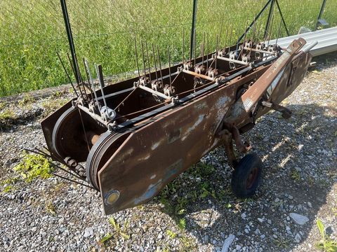 [3244-5766833-5.jpg]