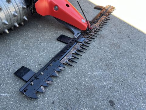 [3244-5985790-3.jpg]