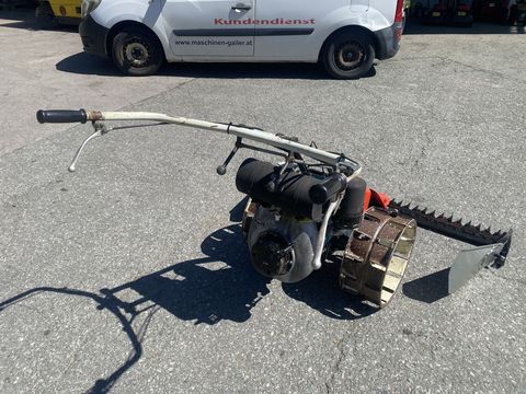 [3244-5993338-10.jpg]