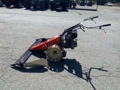 [3244-5993338-7.jpg]