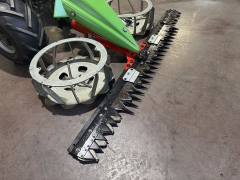 [3244-6300016-12.jpg]