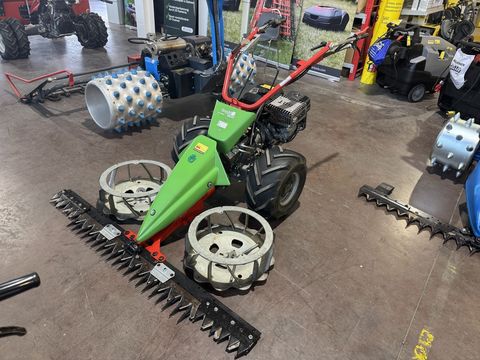 [3244-6300016-3.jpg]