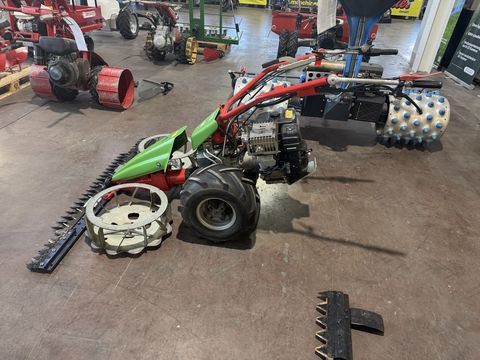 [3244-6300016-5.jpg]