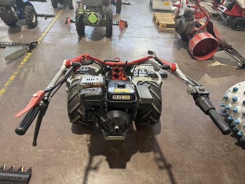 [3244-6300016-9.jpg]