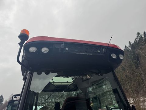 [3244-6482169-13.jpg]