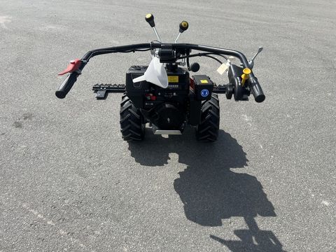 [3244-6484969-11.jpg]