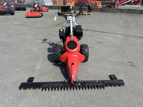 [3244-6484969-12.jpg]