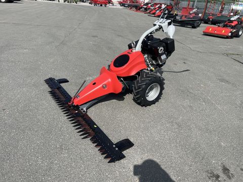 [3244-6484969-13.jpg]