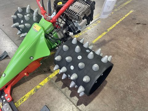 [3244-6679367-13.jpg]