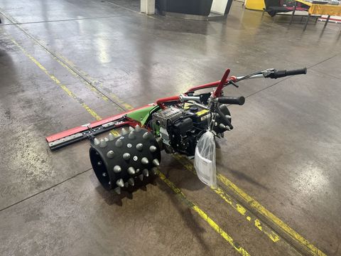 [3244-6679367-6.jpg]