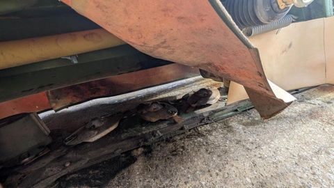 [3290-6538300-4.jpg]