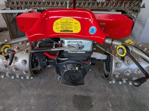 [3290-6888560-3.jpg]