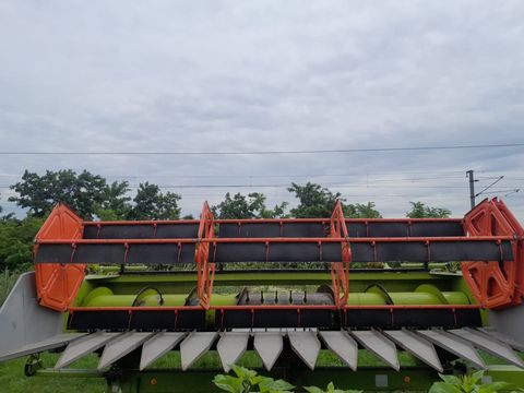 [3293-4436993-3.jpg]