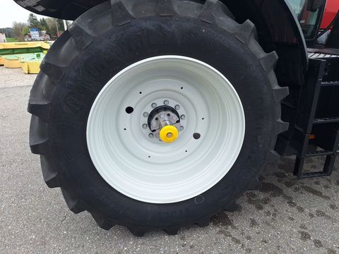 [3342-4137332-7.jpg]