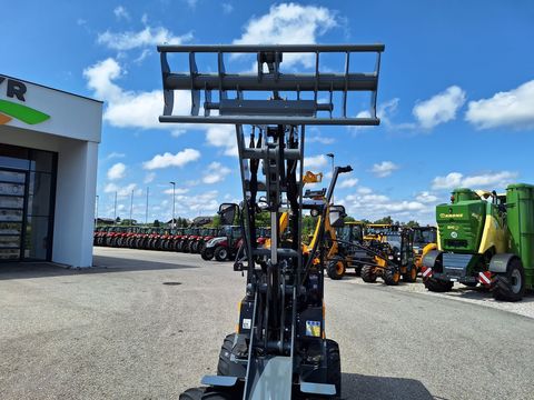 [3342-5384355-11.jpg]