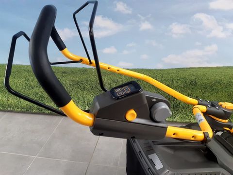 [3342-5455548-11.jpg]