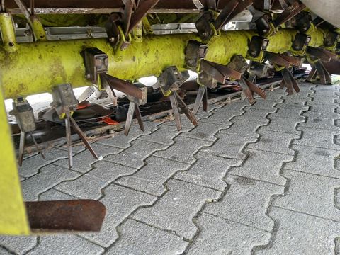 [3342-6310406-9.jpg]