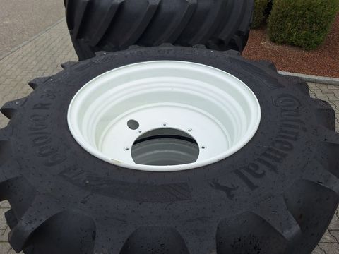 [3342-6343518-9.jpg]