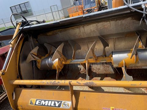 [3379-3158733-5.jpg]