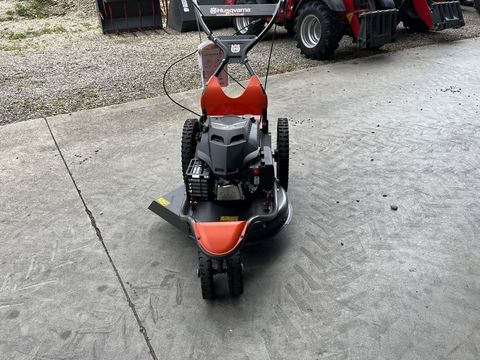 [3379-3728696-10.jpg]