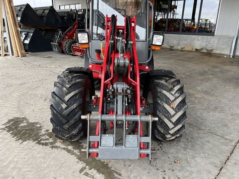 [3379-4020190-13.jpg]