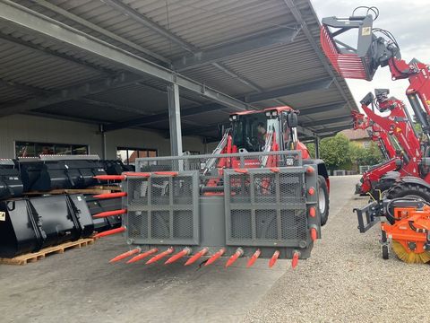 [3379-4203748-15.jpg]