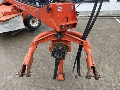 [3379-5384442-17.jpg]