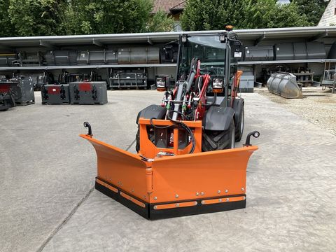 [3379-5945937-5.jpg]