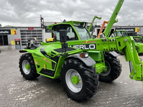 [3379-6293804-5.jpg]