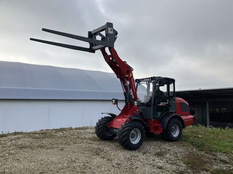 [3379-6298668-3.jpg]