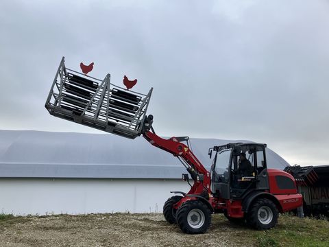 [3379-6298668-7.jpg]